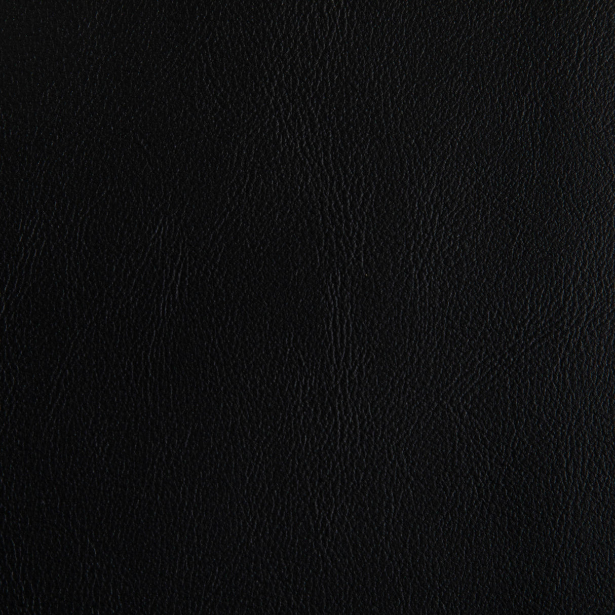 Kravet RAND STALLION Upholstery Fabric