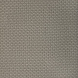 Kravet STEIN PORCINI Upholstery Fabric