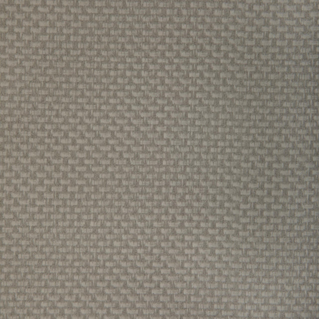 Kravet STEIN PORCINI Upholstery Fabric