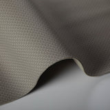 Kravet STEIN PORCINI Upholstery Fabric