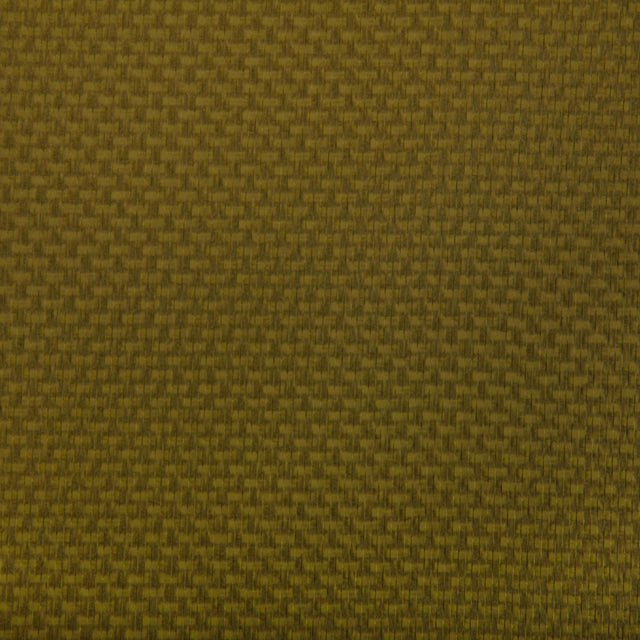 Kravet STEIN WASABI Upholstery Fabric