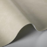 Kravet TONI TUSK Upholstery Fabric