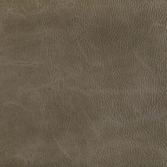 Kravet TONI FIELD Upholstery Fabric