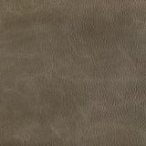 Kravet TONI FIELD Upholstery Fabric
