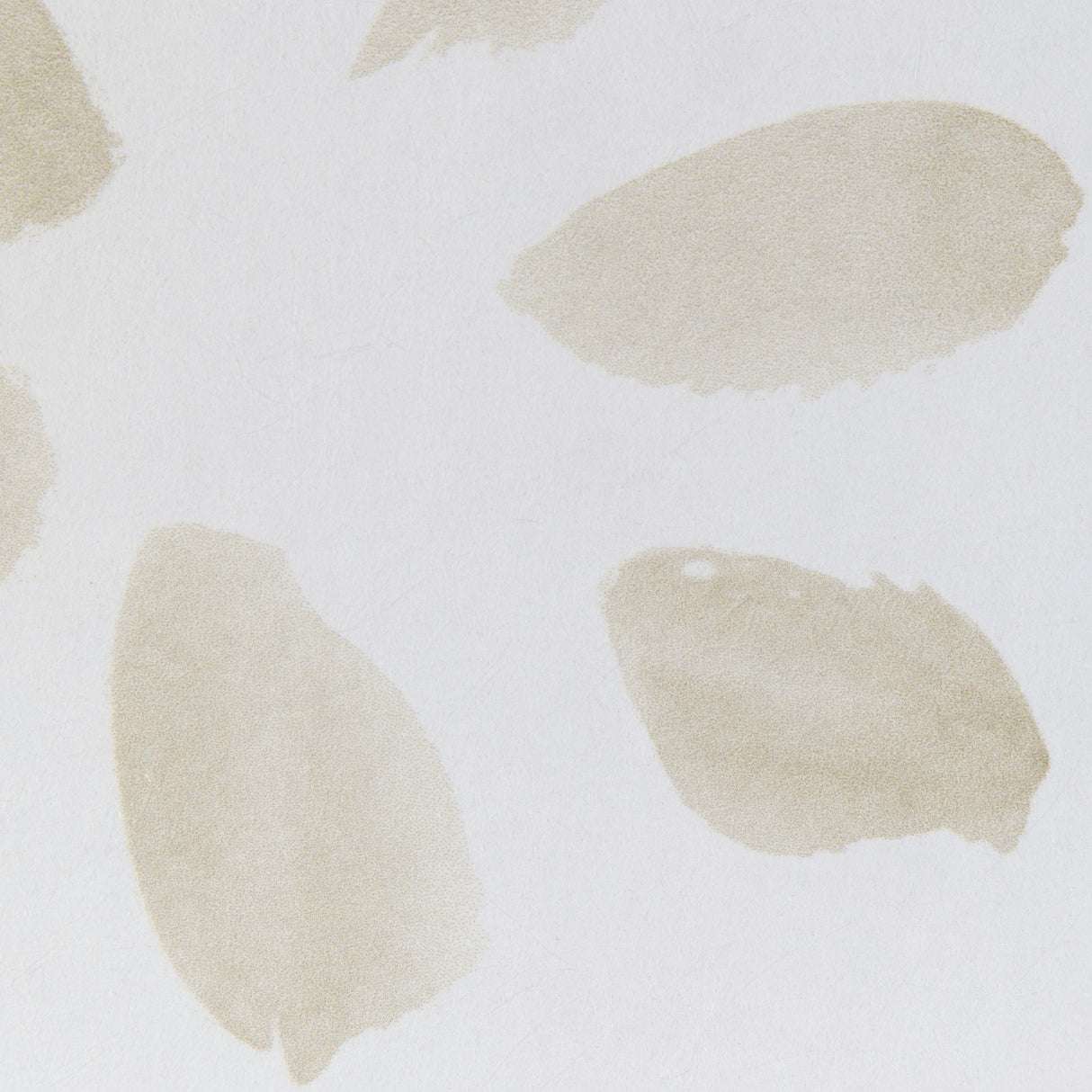 Kravet PETAL BLOSSOM WP LINEN Wallpaper