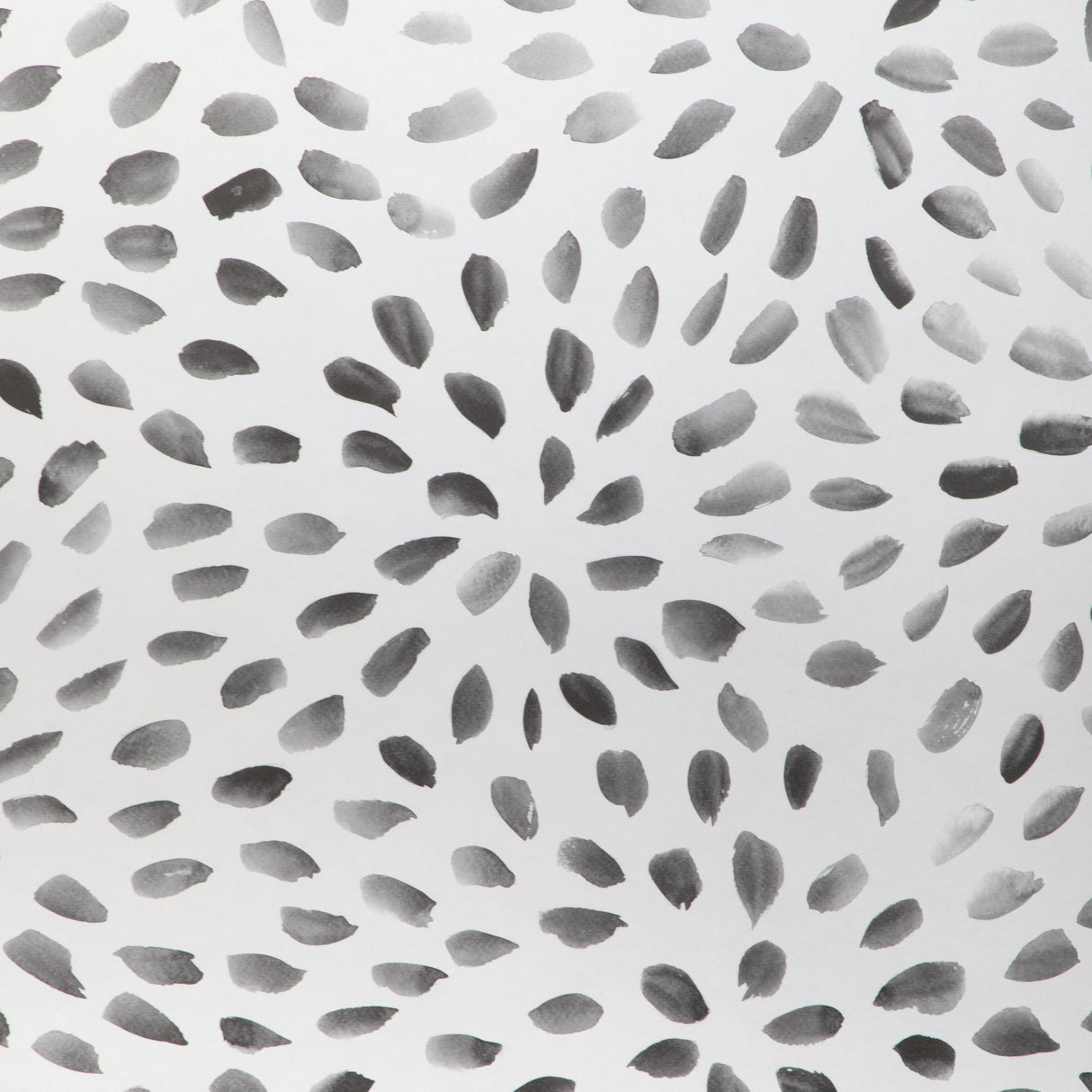 Kravet PETAL BLOSSOM WP ONYX Wallpaper