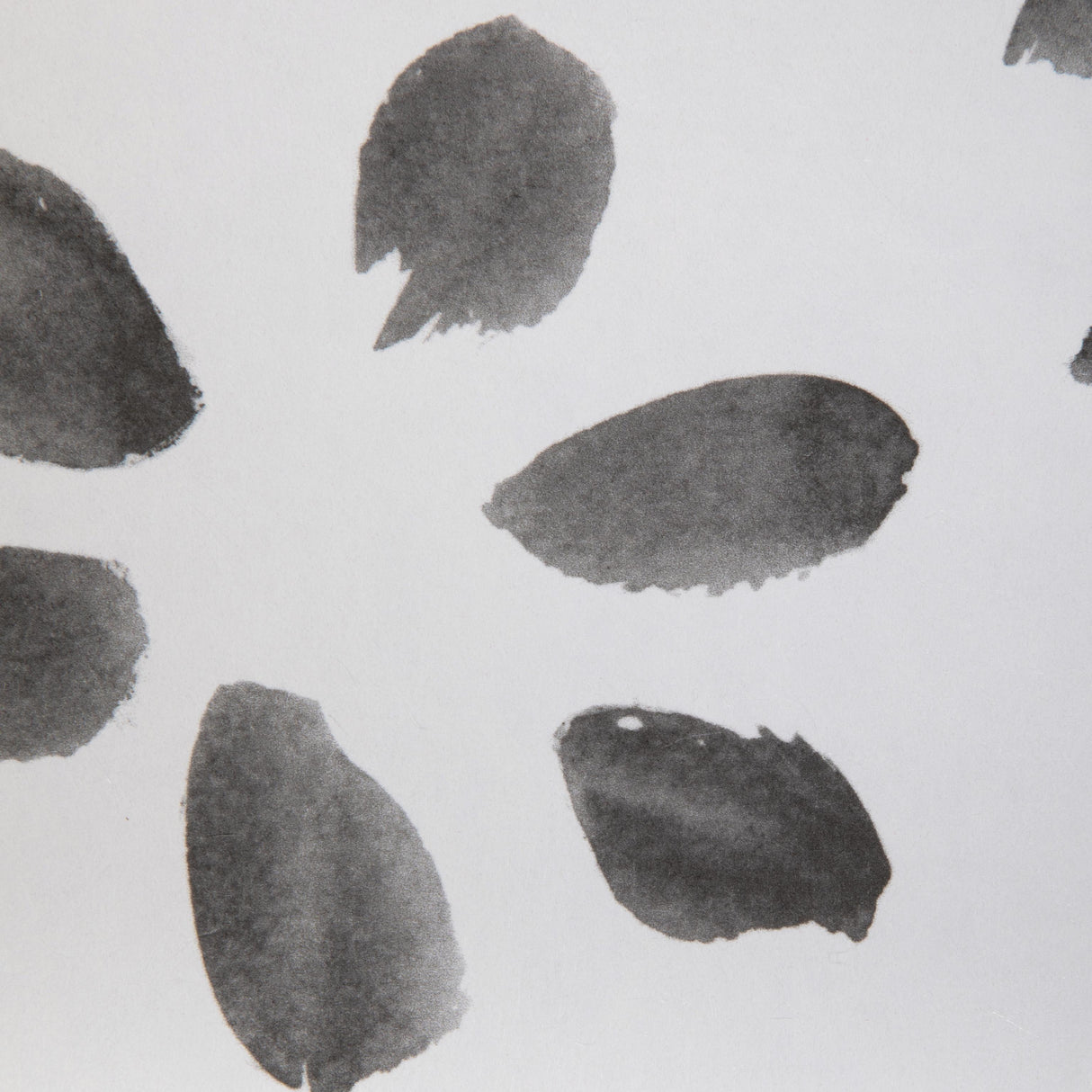 Kravet PETAL BLOSSOM WP ONYX Wallpaper