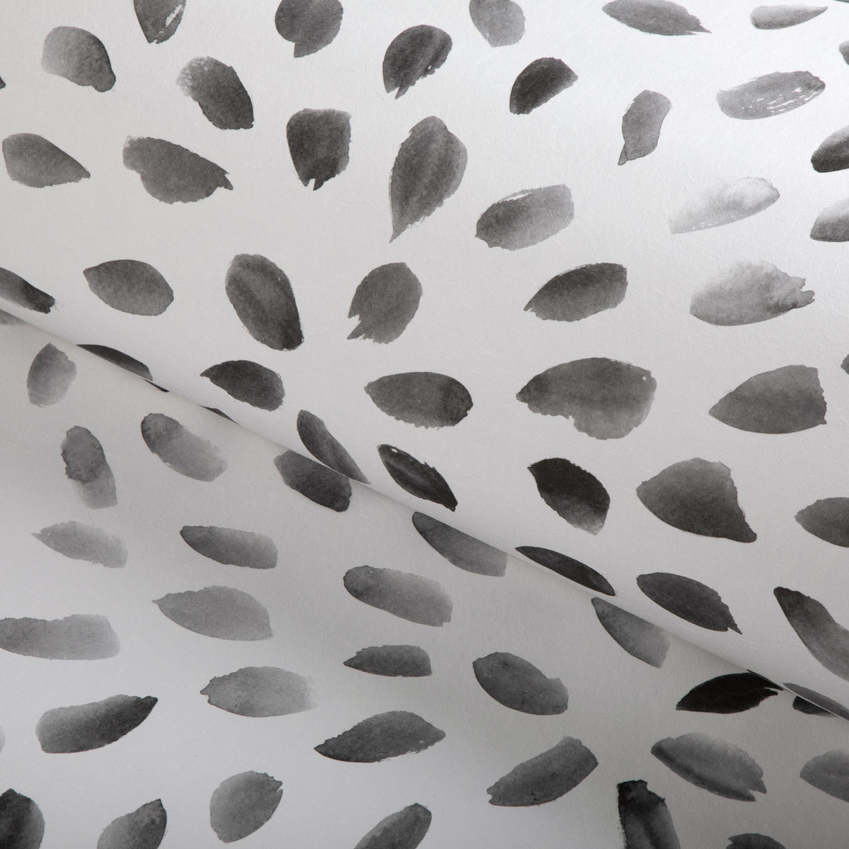 Kravet PETAL BLOSSOM WP ONYX Wallpaper