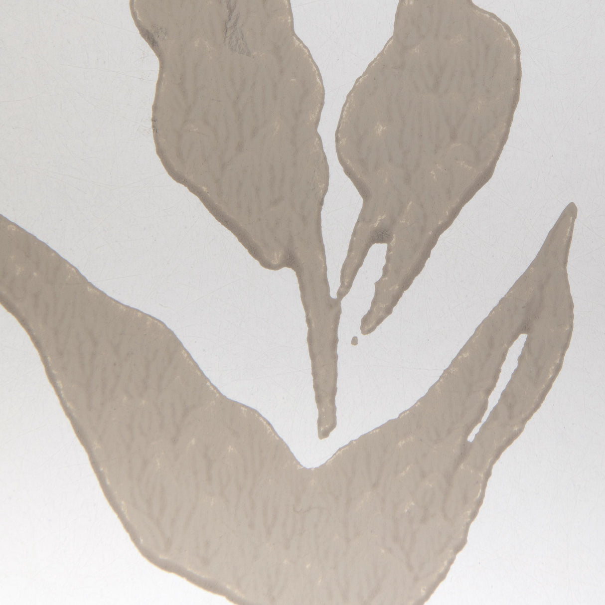 Kravet CLIMBING LEAVES WP FAWN Wallpaper