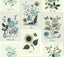 Kravet DESIGN W3947 6106 Wallpaper
