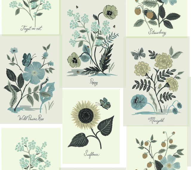 Kravet DESIGN W3947 6106 Wallpaper