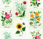 Kravet DESIGN W3947 73 Wallpaper