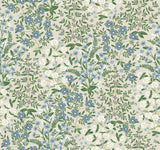 Kravet DESIGN W3950 1615 Wallpaper