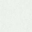Winfield Thybony ROSSINI PLASTER Wallpaper