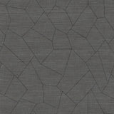 Winfield Thybony VIVACE GRAPHITE Wallpaper