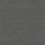 Winfield Thybony VIVACE THREAD GRAPHITE Wallpaper