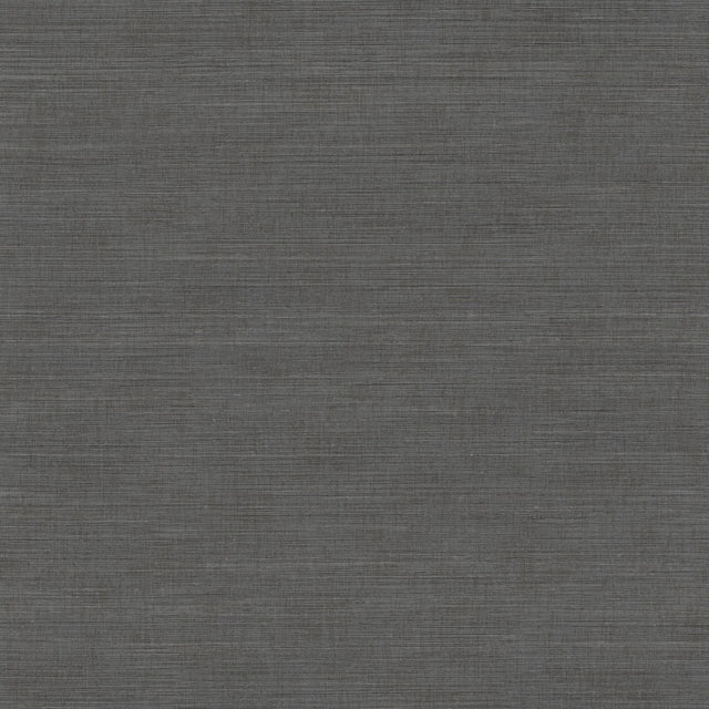Winfield Thybony VIVACE THREAD GRAPHITE Wallpaper