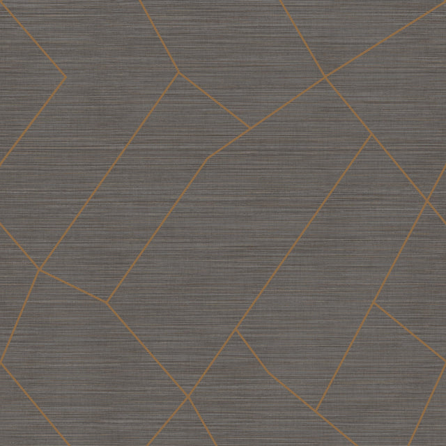 Winfield Thybony VIVACE GRAND GRAPHITE Wallpaper