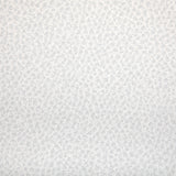 Kravet WOOLF FOSSIL Upholstery Fabric
