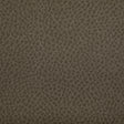 Kravet WOOLF ETRUSCAN Upholstery Fabric