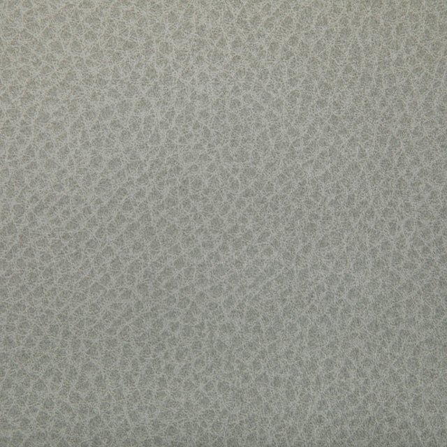 Kravet WOOLF OVERCAST Upholstery Fabric