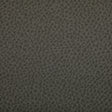 Kravet WOOLF HAWK Upholstery Fabric