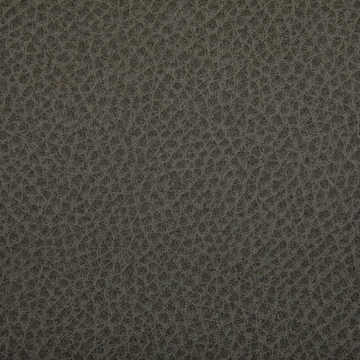Kravet WOOLF HAWK Upholstery Fabric