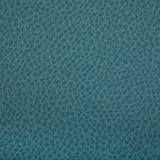 Kravet WOOLF POOL Upholstery Fabric