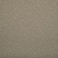 Kravet WOOLF SANDBAR Upholstery Fabric
