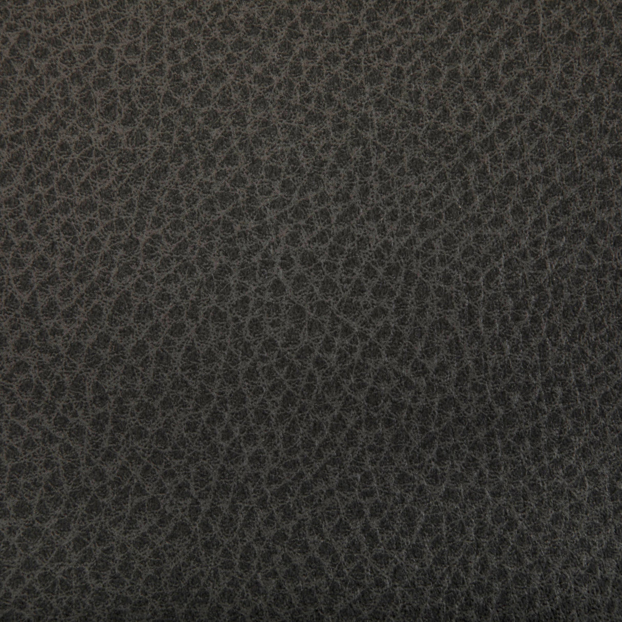 Kravet WOOLF JAVA Upholstery Fabric