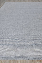 Exquisite Rugs Bali Indoor/Outdoor Flatweave PET yarn 4868 Silver/Gray 5' x 8' Area Rug
