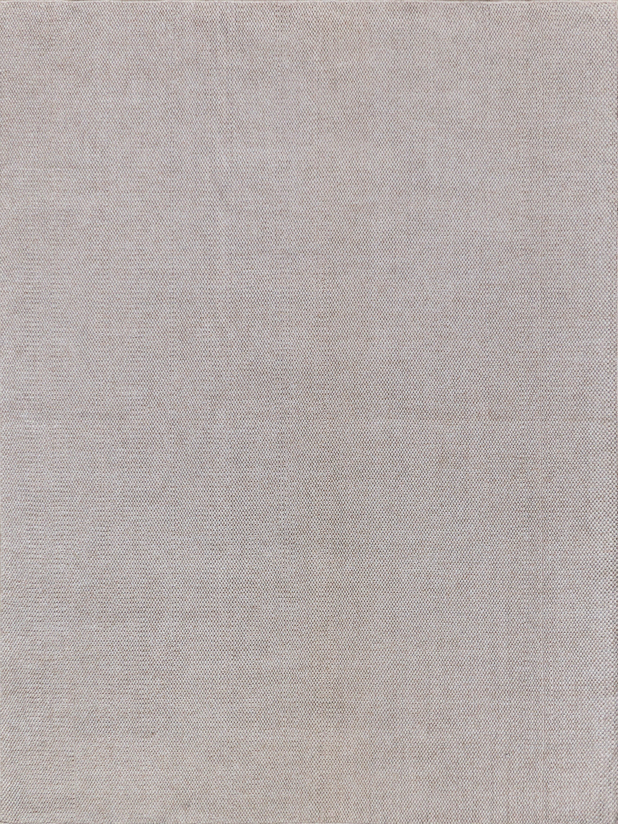 Exquisite Rugs Bali Indoor/Outdoor Flatweave PET yarn 4869 Beige 8' x 10' Area Rug