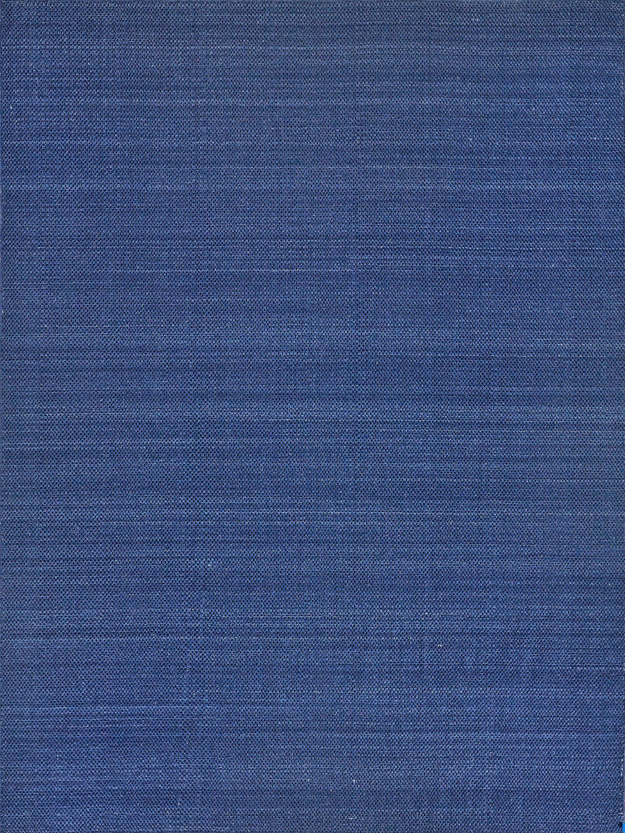 Exquisite Rugs Bali Indoor/Outdoor Flatweave PET yarn 4871 Blue 3' x 5' Area Rug