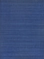 Exquisite Rugs Bali Indoor/Outdoor Flatweave PET yarn 4871 Blue 3' x 5' Area Rug