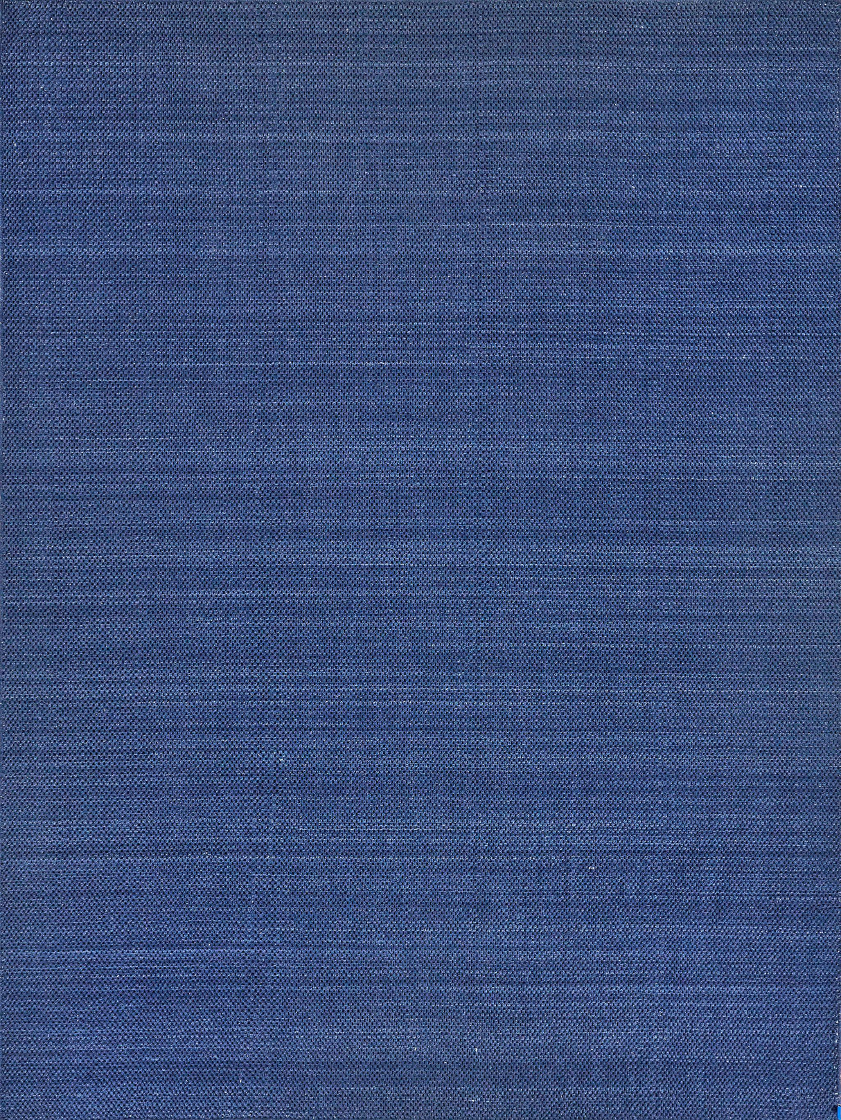 Exquisite Bali Indoor/Outdoor Flatweave PET yarn Blue Area Rug 3.0'X5.0' Rug