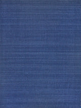 Exquisite Bali Indoor/Outdoor Flatweave PET yarn Blue Area Rug 3.0'X5.0' Rug