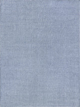 Exquisite Bali Indoor/Outdoor Flatweave PET yarn Light Blue Area Rug 5.0'X8.0' Rug