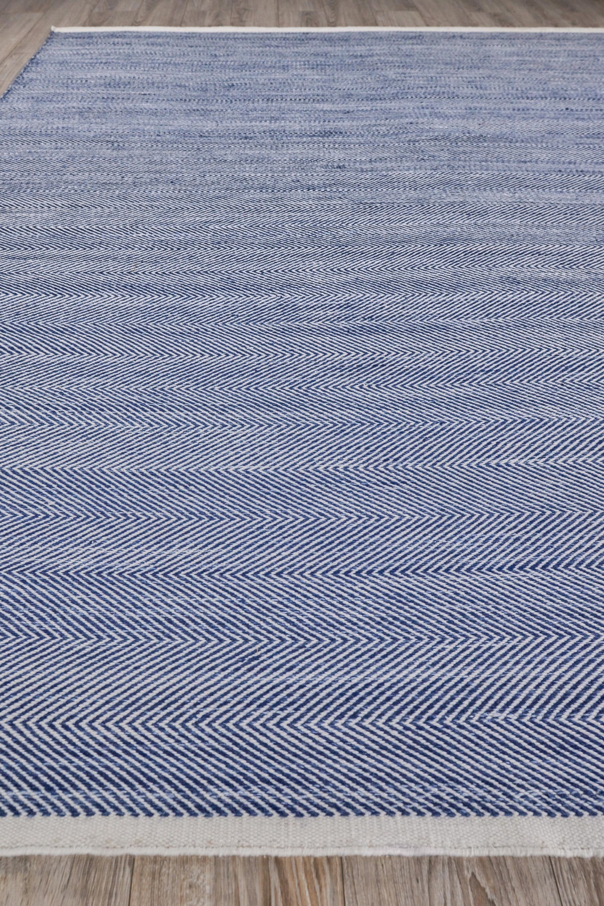 Exquisite Rugs Bintan Indoor/Outdoor Flatweave PET yarn 4895 Ivory/Blue 12' x 15' Area Rug