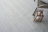 Exquisite Rugs Bintan Indoor/Outdoor Flatweave PET yarn 4896 Ivory/Silver 5' x 8' Area Rug