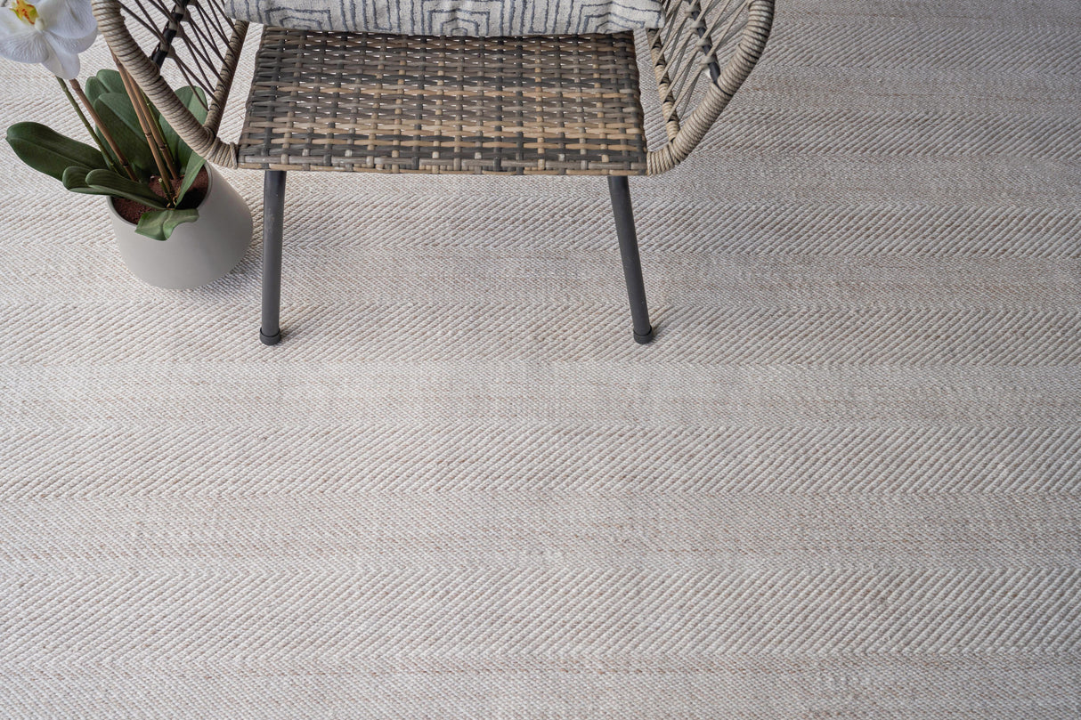 Exquisite Rugs Bintan Indoor/Outdoor Flatweave PET yarn 4897 Ivory/Beige 10' x 14' Area Rug