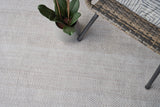 Exquisite Rugs Bintan Indoor/Outdoor Flatweave PET yarn 4897 Ivory/Beige 8' x 10' Area Rug