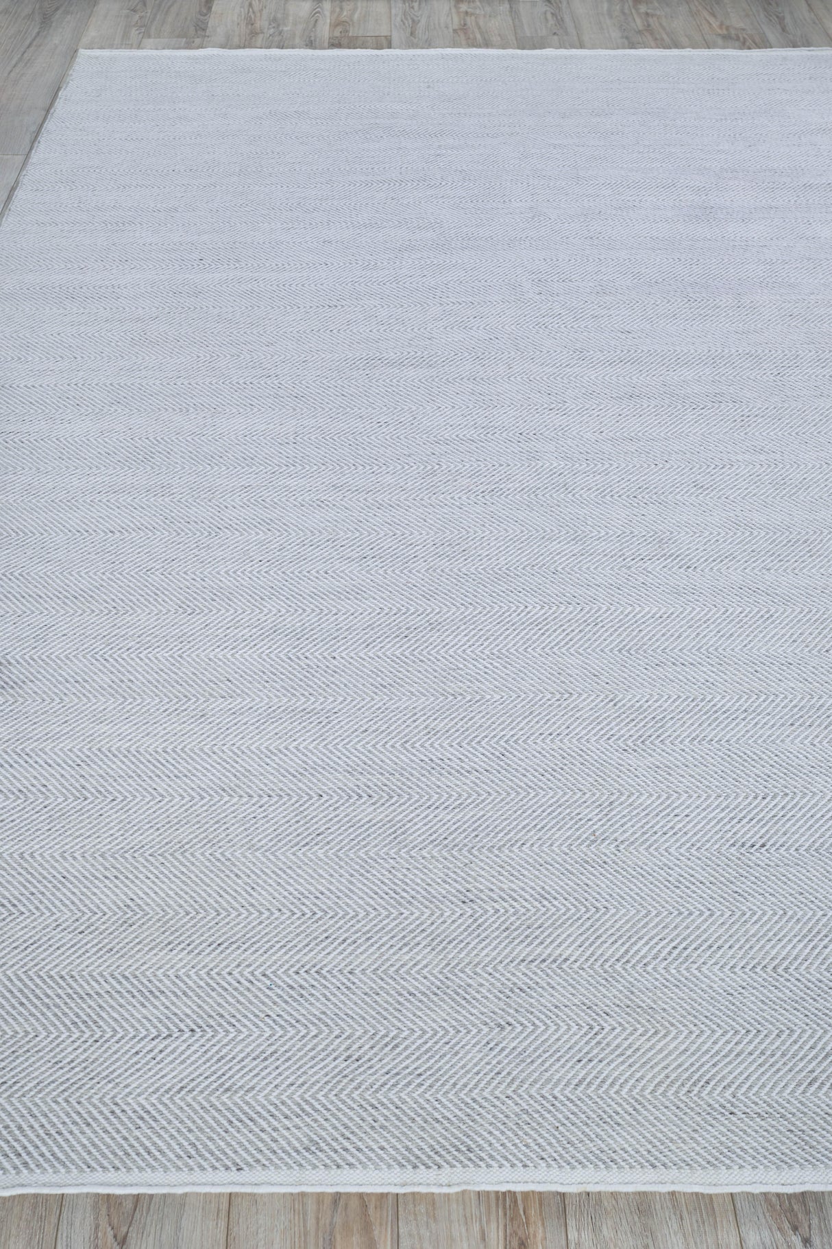 Exquisite Rugs Bintan Indoor/Outdoor Flatweave PET yarn 4987 Ivory/Gray 6' x 9' Area Rug