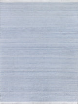 Exquisite Bintan Indoor/Outdoor Flatweave PET yarn Light Blue Area Rug 5.0'X8.0' Rug