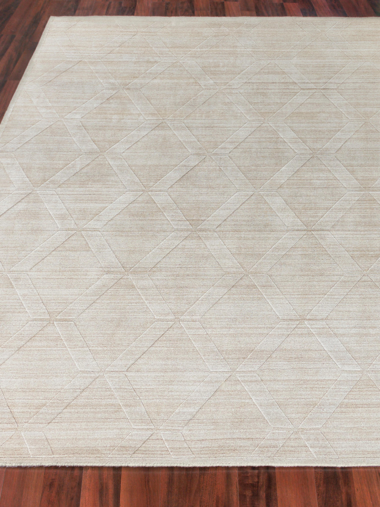 Exquisite Rugs Castelli Hand-loomed Bamboo Silk/Wool 4361 Light Beige 9' x 12' Area Rug