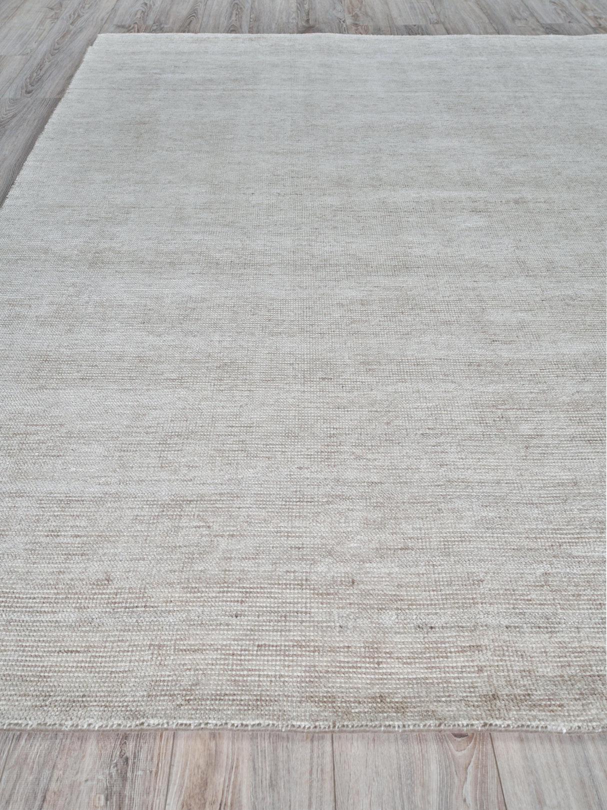 Exquisite Rugs Catalina Hand-loomed Wool/Bamboo Silk 5212 Beige 12' x 15' Area Rug