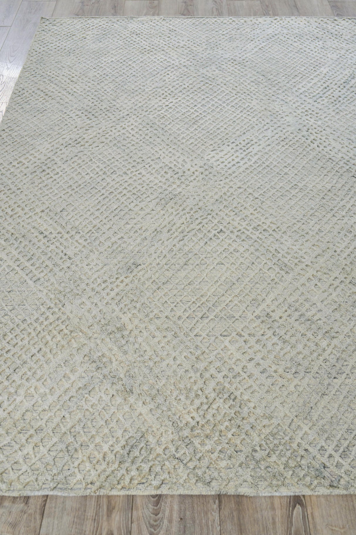 Exquisite Rugs Crescendo Hand-loomed Bamboo Silk 4900 Beige 12' x 15' Area Rug