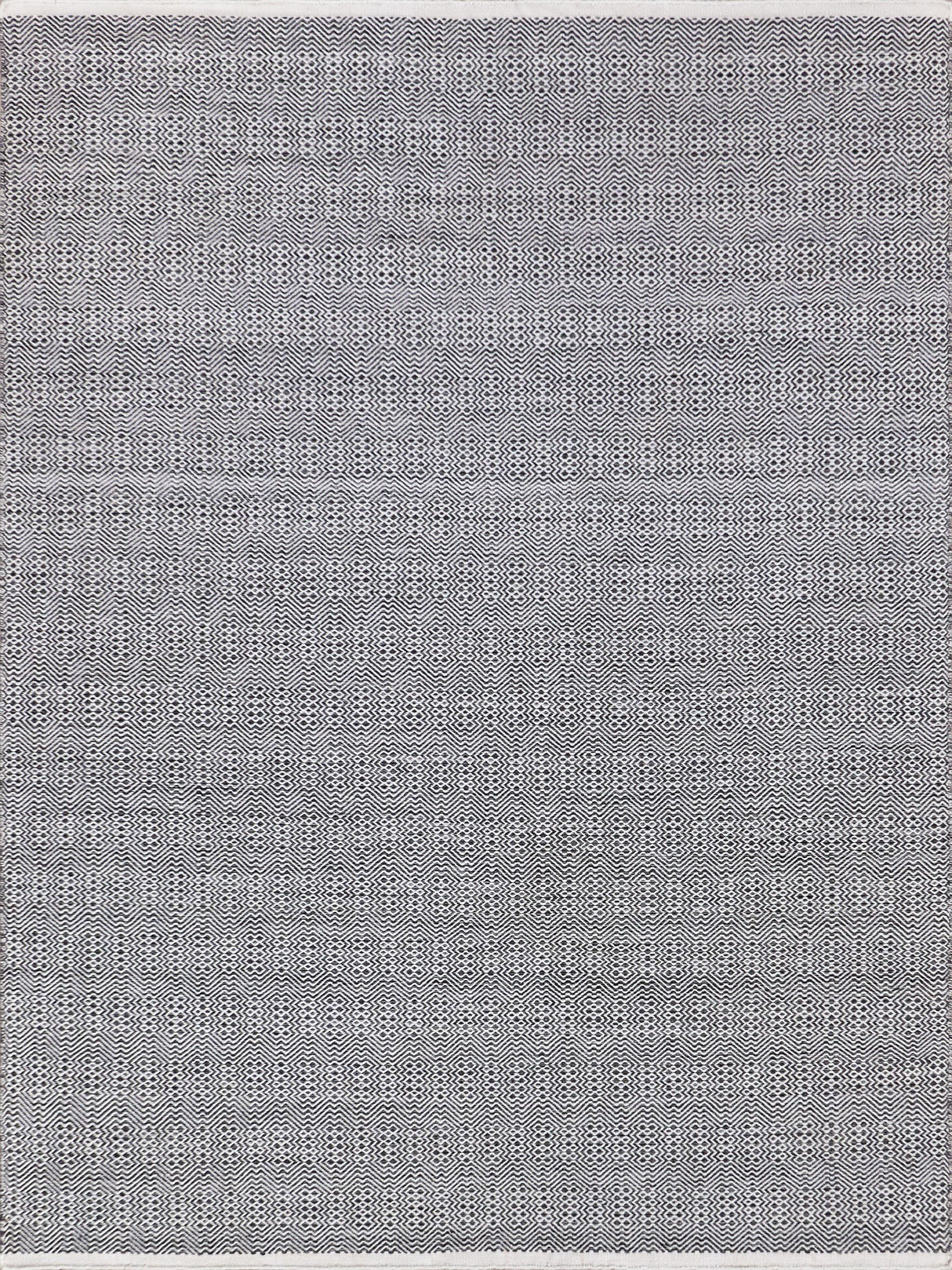 Exquisite Echo Indoor/Outdoor Flatweave PET yarn Ivory/Black Area Rug 4.0'X6.0' Rug