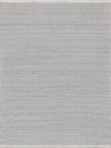 Exquisite Echo Indoor/Outdoor Flatweave PET yarn Ivory/Light Silver Area Rug 10.0'X14.0' Rug