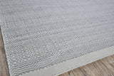 Exquisite Rugs Echo Indoor/Outdoor Flatweave PET yarn 4893 Ivory/Light Silver 4' x 6' Area Rug