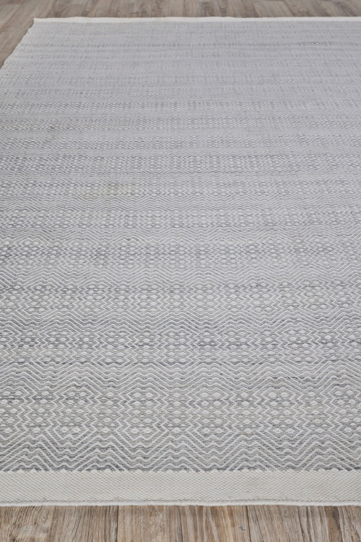 Exquisite Rugs Echo Indoor/Outdoor Flatweave PET yarn 4893 Ivory/Light Silver 4' x 6' Area Rug